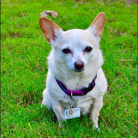 Meet Your Seller - Picture 10 of 15